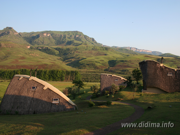 didima camp accommodation1.png